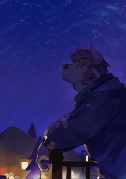 1boy against_railing animal_ears bara blue_jacket christory_yyb cow_boy cow_ears cow_horns from_side furrification furry green_eyes green_shirt highres hood hood_down hooded_jacket horns jacket long_sideburns long_sleeves looking_up male_focus mature_male muscular muscular_male night purple_hair railing shane_(stardew_valley) shirt short_hair sideburns sky solo star_(sky) stardew_valley starry_sky thick_eyebrows