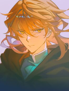 Rule 34 | 1boy, alternate hairstyle, black cape, cape, chaldea no mono, closed mouth, coat, commentary request, fate/grand order, fate (series), frown, green coat, hair between eyes, hair down, highres, korean commentary, long hair, looking at viewer, male focus, orange hair, purple background, simple background, solo, sumssingbo, upper body, yellow eyes