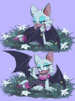 1girl animal_ears bat_ears bat_girl bat_wings blue_eyes blush boots breasts cleavage curvy elbow_gloves eyelashes flower furry furry_female gloves grass high_heels highres large_breasts large_ears leather long_boots looking_at_viewer multiple_views on_ground pregnant purple_background rouge_the_bat sega simple_background sitting sonic_(series) white_fur white_hair wings