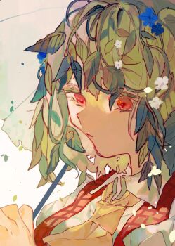 1girl ascot closed_mouth collared_shirt commentary_request expressionless gingham_vest_(clothing) green_hair highres holding holding_umbrella kazami_yuuka looking_afar open_clothes open_vest plant_hair red_eyes red_vest shinjitsu_no_kuchi shirt short_hair simple_background solo touhou umbrella upper_body vest white_background white_shirt white_umbrella yellow_ascot