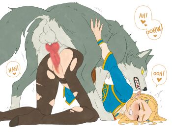 1girl animal_penis bestiality blush censored doggystyle fenqury highres knotted_penis nintendo pants penis princess_zelda sex sex_from_behind the_legend_of_zelda the_legend_of_zelda:_breath_of_the_wild tight_clothes tight_pants torn_clothes wolf