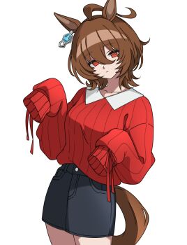 1girl absurdres agnes_tachyon_(umamusume) ahoge alternate_costume animal_ears black_shorts breasts brown_hair chemical_structure closed_mouth collarbone earrings ghuler hair_between_eyes highres horse_ears horse_girl horse_tail jewelry long_sleeves looking_at_viewer medium_hair red_eyes red_sweater shirt shorts simple_background single_earring sleeves_past_fingers sleeves_past_wrists solo sweater tail umamusume white_background