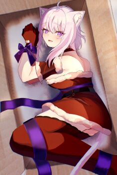 1girl absurdres ahoge alternate_costume animal_ear_fluff animal_ears breasts cat_ears cat_girl cat_tail commentary_request dress fur-trimmed_dress fur_trim gloves highres hololive large_breasts looking_at_viewer medium_hair nekomata_okayu purple_eyes purple_hair red_dress red_gloves red_thighhighs santa_costume santa_dress smile solo tail thighhighs virtual_youtuber wwsj3877