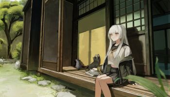 1girl absurdres animal black_jacket black_sailor_collar black_skirt black_survival cat closed_mouth day eternal_return:_black_survival feet_out_of_frame grey_hair grey_shirt hair_over_shoulder hashtag-only_commentary highres jacket long_hair mane031210 minami_rio neckerchief off_shoulder open_clothes open_jacket outdoors pet pleated_skirt sailor_collar school_uniform serafuku shadow shirt shouji sitting skirt sliding_doors solo straight_hair tree veranda yellow_eyes yellow_neckerchief