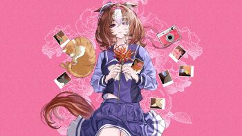 1girl absurdres admire_vega_(umamusume) air_shakur_(umamusume) animal_ears bow bowtie brown_hair brown_tail camera cat commentary_request crown ear_covers floral_background flower hair_between_eyes haru_urara_(umamusume) higeji_(higeji404) highres holding holding_flower horse_ears horse_girl horse_tail long_sleeves lying matikanefukukitaru_(umamusume) medium_hair meisho_doto_(umamusume) meto_(cat) midriff_peek mini_crown narita_top_road_(umamusume) on_back orange_cat pink_background polaroid_photo purple_bow purple_bowtie purple_eyes purple_shirt purple_skirt school_uniform shirt skirt smoke smoke_trail spider_lily t.m._opera_o_(umamusume) taiki_shuttle_(umamusume) tail tracen_school_uniform umamusume white_streaks
