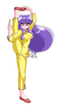 1girl absurdres breasts chinese_clothes double_bun full_body hair_bun highres leg_up long_hair looking_at_viewer megaphilx pants purple_hair ranma_1/2 red_eyes red_shoes shampoo_(ranma_1/2) shoes simple_background solo split standing standing_on_one_leg standing_split white_background
