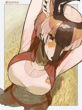 1girl abs absurdres alternate_breast_size_(larger) animal_ears animal_nose arms_up blush border breasts brown_eyes brown_hair buruma cleavage closed_mouth day dragondedemushi from_above furrification furry furry_female grass grey_hair hair_over_one_eye highres horizontal_pupils horns jacket japari_symbol kemono_friends kemono_friends_2 large_breasts long_sleeves looking_at_viewer looking_up multicolored_hair neck_fur open_clothes open_jacket outdoors outside_border pronghorn_(kemono_friends) red_buruma smile snout solo sports_bra standing stomach stretching toned toned_female track_jacket white_border