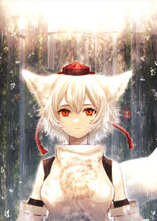 Rule 34 | 1girl, animal ears, closed mouth, commentary request, detached sleeves, expressionless, hat, highres, inubashiri momiji, looking at viewer, pom pom (clothes), rain, red eyes, red hat, shirt, short hair, sleeveless, sleeveless shirt, solo, soukou (artist), straight-on, tokin hat, touhou, upper body, white hair, white shirt, white sleeves, wolf ears, wolf girl