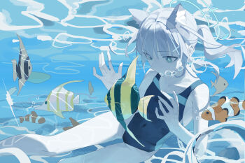 1girl absurdres air_bubble animal_ear_fluff animal_ears aqua_eyes aqua_halo black_one-piece_swimsuit blowing_bubbles blue_archive blue_one-piece_swimsuit bright_pupils bubble caustics chinese_commentary clownfish collarbone commentary covered_navel cross cross_hair_ornament eyes_visible_through_hair fanshuimucishen feet_out_of_frame fish freediving hair_ornament halo highleg highleg_one-piece_swimsuit highres inverted_cross looking_down making-of_available medium_hair mismatched_pupils multicolored_swimsuit official_alternate_costume official_alternate_hairstyle one-piece_swimsuit ponytail shiroko_(blue_archive) shiroko_(swimsuit)_(blue_archive) sidelocks solo swimsuit tropical_fish two-tone_one-piece_swimsuit underwater water white_pupils wolf_ears