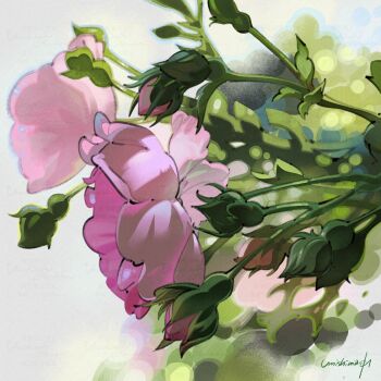 Rule 34 | absurdres, artist name, bud, commentary, english commentary, flower, flower focus, highres, no humans, pink flower, pink rose, plant, polyantha rose, rose, umishima senbon, watermark, watermark grid, white background