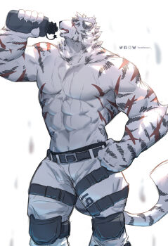 1boy abs absurdres animal_ears arknights bara belt clenched_hand cowboy_shot drinking furry furry_male highres kuromons_art large_pectorals male_focus mountain_(arknights) multiple_belts muscular muscular_male navel no_nipples pectorals profile scar scar_across_eye scar_on_face short_hair solo standing strongman_waist thick_eyebrows tiger_boy tiger_ears topless_male wet white_hair