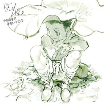 Rule 34 | 1boy, 7enn, animal, closed mouth, commentary, frog, gon freecss, green theme, highres, hunter x hunter, lily pad, male focus, monochrome, pond, rock, shirt, shoes, short hair, shorts, sitting, smile, untranslatable commentary, very short hair, white background