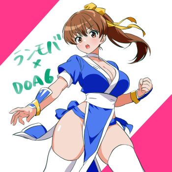 1girl breasts brown_eyes brown_hair cleavage dead_or_alive dead_or_alive_6 highres kasumi_(doa) konuka long_hair looking_at_viewer ninja pelvic_curtain ponytail short_sleeves thighhighs