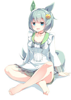 Rule 34 | 1girl, absurdres, animal ears, blue eyes, blush, breasts, brown choker, choker, collarbone, commentary request, ear covers, flower, green sailor collar, green shorts, grey hair, hair between eyes, hair flower, hair ornament, hairclip, highres, horse ears, horse girl, horse tail, kanzakietc, long sleeves, looking at viewer, open mouth, sailor collar, seiun sky (reeling in the big one) (umamusume), seiun sky (umamusume), shirt, short hair, shorts, simple background, single ear cover, sitting, smile, solo, sunflower, sunflower hair ornament, tail, umamusume, white background