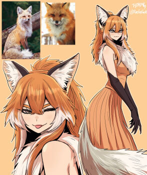 1girl :p animal_ear_fluff animal_ears bare_shoulders black_gloves blush breasts dress elbow_gloves fox fox_ears fox_girl fox_tail gegegekman gloves grey_eyes high_ponytail highres long_hair looking_at_viewer medium_breasts messy_hair multicolored_hair one_eye_closed orange_background orange_dress orange_hair original photo_inset ponytail reference_inset sidelocks smile tail tongue tongue_out