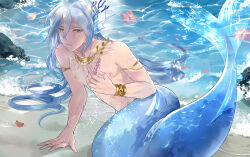 Rule 34 | 1boy, armlet, beach, bishounen, blue hair, blue scales, bracelet, character request, commentary request, eve (hellodolphin93633), fins, flower, full body, h, hair between eyes, hand up, head fins, highres, holding, holding shell, jewelry, long hair, looking at viewer, male focus, merman, monster boy, necklace, nipples, original, outdoors, parted lips, red eyes, red flower, rock, sand, scales, seashell, shell, shore, solo, the tale of food, very long hair, water, wet, wet hair