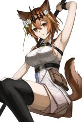 Rule 34 | 1girl, absurdres, animal ears, arknights, arm strap, arm up, armpits, barach, belt, black belt, black thighhighs, breasts, brown eyes, brown hair, cat ears, commentary, dress, feet out of frame, flower, grin, hair flower, hair ornament, highres, large breasts, long hair, looking at viewer, parted lips, pouch, rose, short dress, simple background, sleeveless, sleeveless dress, smile, solo, thighhighs, thighs, vendela (arknights), white background, white dress, white flower, white rose, wristband