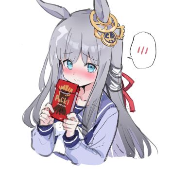 1girl animal_ears blue_eyes blush chrono_genesis_(umamusume) collarbone commentary_request grey_hair hair_between_eyes hair_ornament highres holding horse_ears looking_at_viewer mola_mola pocky_day portrait school_uniform simple_background solo umamusume white_background