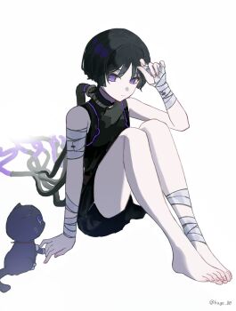Rule 34 | 1boy, animalization, arm at side, bandaged arm, bandaged hand, bandaged leg, bandaged wrist, bandages, barefoot, black cat, black hair, black shirt, black shorts, blunt ends, body markings, cable, cat, closed mouth, expressionless, fingernails, genshin impact, glowing markings, gold, hage 80, hand up, highres, jewelry, looking at animal, male focus, mandarin collar, multicolored hair, neck ring, person and animalization, pom pom (clothes), purple eyes, purple hair, scaramouche (cat) (genshin impact), scaramouche (genshin impact), shirt, shorts, sitting, solo, streaked hair, toenails, twitter username, white background, wispy bangs