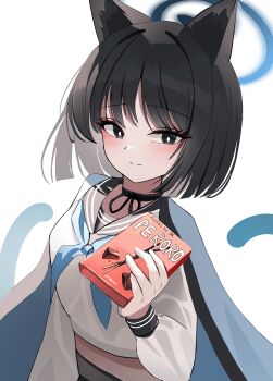 1girl absurdres animal_ears black_choker black_eyes black_hair black_sailor_collar blue_archive blue_haori blue_neckerchief blush box brand_name_imitation cat_ears cat_tail choker closed_mouth commentary food halo haori highres holding holding_box holding_food japanese_clothes kikyou_(blue_archive) long_sleeves looking_at_viewer lunar_(pixiv53683306) neckerchief pocky_day sailor_collar shirt simple_background smile solo symbol-only_commentary tail white_background white_shirt