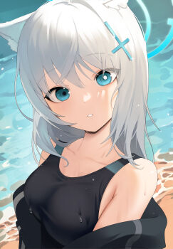 1girl absurdres animal_ear_fluff animal_ears bare_shoulders beach black_one-piece_swimsuit blue_archive blue_eyes breasts collarbone commentary_request competition_swimsuit cross_hair_ornament grey_hair hair_ornament halo highres jacket k_hottok long_hair looking_at_viewer medium_breasts medium_hair mismatched_pupils off_shoulder official_alternate_costume one-piece_swimsuit outdoors parted_lips shiroko_(blue_archive) shiroko_(swimsuit)_(blue_archive) solo swimsuit upper_body water wet wolf_ears