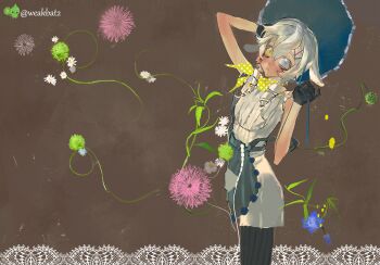 animal_ears arm_up artist_name black_gloves black_pantyhose blue_eyes bonnet bow brown_background cowboy_shot dress floppy_ears flower gloves hair_between_eyes hair_ornament hairclip hat heterochromia highres lace_trim looking_at_viewer neck_ribbon neckerchief original pantyhose pinafore_dress polka_dot polka_dot_bow ribbon short_hair sleeveless sleeveless_dress solo standing striped_clothes striped_pantyhose twitter_username vertical-striped_clothes vertical-striped_pantyhose weakbat white_dress white_flower white_hair yellow_eyes