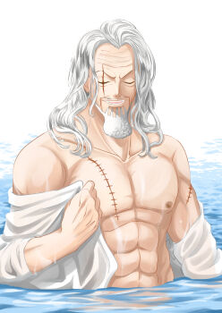 Rule 34 | 1boy, beard, commentary request, facial hair, grey hair, highres, long hair, male focus, musasabiop, muscular, muscular male, mustache stubble, nipples, old, old man, one piece, parted lips, scar, scar across eye, scar on arm, scar on chest, scar on face, shirt, silvers rayleigh, solo, stubble, white shirt