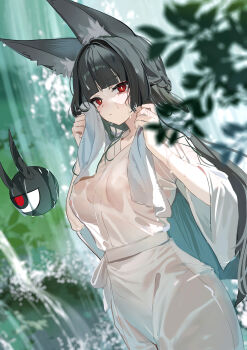 1girl alternate_costume animal_ear_fluff animal_ears black_hair blurry blurry_background braid breasts bright_pupils chinese_commentary closed_mouth commentary_request covered_erect_nipples cowboy_shot fox_ears fox_girl half_up_braid highres holding holding_towel hoshimi_miyabi long_hair looking_at_viewer medium_breasts outdoors red_eyes ruiuncle towel towel_around_neck water waterfall wet wet_clothes white_pupils zenless_zone_zero