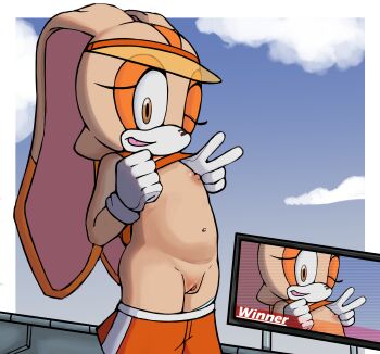 1girl absurdres breasts breasts_out brown_eyes clothes_lift cream_the_rabbit furry furry_female highres loli nipples one_eye_closed panties pussy shirt_lift sin-buttons sonic_(series) sonic_riders_(series) underwear undressing visor_cap wink