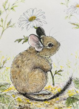 Rule 34 | absurdres, animal, animal focus, commentary request, flower, flower request, highres, madmar, mouse (animal), no humans, original, simple background, traditional media, white background, white flower