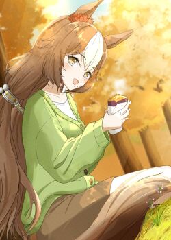 1girl animal_ears blue_sky blush breasts brown_eyes brown_hair cardigan crumbs double-parted_bangs eating flower food food_on_face grass green_cardigan hair_between_eyes hair_ornament holding holding_food horse_ears horse_girl ka_ga_chi long_hair long_sleeves looking_at_viewer multicolored_hair open_mouth outdoors pants potato roasted_sweet_potato satono_diamond_(umamusume) shirt sky smile solo streaked_hair sweet_potato tree umamusume very_long_hair white_shirt