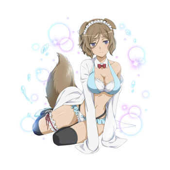 Rule 34 | 1girl, animal ears, anime coloring, bikini, black thighhighs, blue bikini, blue bow, bow, bowtie, breasts, brown hair, cleavage, closed mouth, danmachi memoria freese, detached collar, dog ears, dog girl, dog tail, dungeon ni deai wo motomeru no wa machigatteiru darou ka, frilled bikini, frilled thigh strap, frills, full body, large breasts, layered bikini, looking at viewer, maid headdress, multicolored bikini, naaza erisuis, official alternate costume, official art, open clothes, open shirt, purple eyes, red bow, red bowtie, shirt, short hair, single bare shoulder, single off shoulder, sitting, sleeves past fingers, sleeves past wrists, smile, solo, stomach, swimsuit, tail, thigh strap, thighhighs, third-party source, traditional bowtie, two-tone bikini, water drop, white background, white bikini, white headdress, white shirt