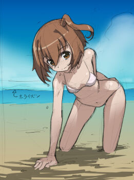 Rule 34 | 10s, 1girl, all fours, beach, bikini, brown eyes, brown hair, female focus, kneeling, log horizon, minori (log horizon), navel, ocean, outdoors, rohitsuka, short hair, side ponytail, sketch, smile, solo, swimsuit, water, white bikini