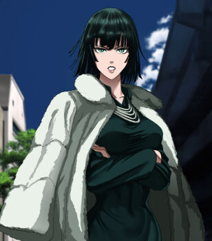 Rule 34 | 1girl, black dress, black hair, breasts, coat, crossed arms, dress, female focus, fubuki (one-punch man), fur coat, green eyes, highres, jewelry, large breasts, necklace, one-punch man, short hair, sky, solo, tagme, taut clothes, taut dress, the golden smurf