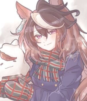 1girl animal_ears blue_coat blush brown_hair buttons closed_mouth coat double-breasted earrings gloves hair_between_eyes horse_ears horse_girl jeokpyemaseuteo jewelry long_hair long_sleeves looking_at_viewer mittens multicolored_hair plaid_clothes plaid_scarf purple_eyes scarf school_uniform single_earring smile snowman streaked_hair symboli_rudolf_(umamusume) tracen_school_uniform tracen_winter_coat umamusume white_hair winter_clothes winter_coat winter_uniform