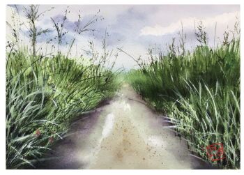 blue_sky bush cloud cloudy_sky grass highres no_humans original path plant road sazanka_352 scenery shadow sky stamp_mark sunlight tall_grass vanishing_point