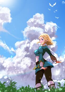 1girl absurdres awnw black_pantyhose blonde_hair blue_eyes blue_tunic braid breasts cloud commentary crown_braid cumulonimbus_cloud day floating_hair fold-over_boots from_behind grass highres lens_flare looking_at_viewer looking_back medium_breasts nintendo open_mouth outdoors pantyhose pointy_ears princess_zelda short_hair sidelocks simple_bird sky smile solo standing the_legend_of_zelda the_legend_of_zelda:_tears_of_the_kingdom tunic wide_shot