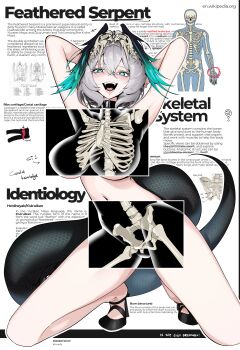 1girl absurdres animal_skull aqua_eyes arknights arms_behind_head black_collar bone breasts collar educational english_text fangs feathered_wings full_body grey_hair hair_between_eyes head_wings highres ho'olheyak_(arknights) khrnnfz kneeling large_breasts long_tail looking_at_viewer medium_hair navel nude open_mouth skeleton snake_tail solo tail wings x-ray