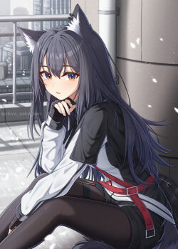 1girl animal_ear_fluff animal_ears arknights belt black_capelet black_gloves black_hair black_pantyhose black_shorts brown_eyes building capelet city ear_piercing feet_out_of_frame fingerless_gloves gloves hair_between_eyes hand_on_own_chin jacket lips long_hair long_sleeves looking_at_viewer multicolored_jacket outdoors pantyhose pantyhose_under_shorts piercing railing red_belt shironekoban short_shorts shorts sitting solo tail texas_(arknights) thigh_strap two-tone_jacket white_jacket wolf_ears wolf_girl wolf_tail