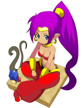 Rule 34 | 1girl, bad id, bad pixiv id, bare shoulders, blue eyes, breasts, cleavage, dark-skinned female, dark skin, earrings, female focus, hoop earrings, jewelry, long hair, looking at viewer, lots of jewelry, midriff, navel, pointy ears, ponytail, purple hair, shantae, shantae (series), smile, solo, tamakorogashi, tiara, wayforward