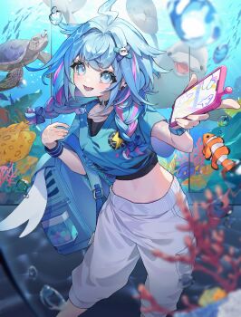 1girl absurdres ahoge air_bubble aquarium backpack bag blue_eyes blue_hair braid bubble cellphone choker clownfish coral cropped_shirt dolphin earclip fish flow_glow_(hololive) grey_pants highres hololive hololive_dev_is lightning_ahoge midriff mizumiya_su mizumiya_su_(holonatsu_paradise) navel neuti o-ring o-ring_choker pants phone smartphone turtle twin_braids virtual_youtuber wristband