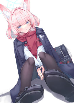 Rule 34 | 1girl, :o, adapted costume, aki tsune, animal ear fluff, animal ears, armband, bag, between legs, black bag, black coat, black pantyhose, black shoes, blue archive, blue eyes, blue halo, blunt bangs, blush, breath, coat, coat on shoulders, cold, commentary, dutch angle, eyes visible through hair, foreshortening, fox ears, fox girl, fringe trim, full body, hair intakes, half updo, halo, hand between legs, highres, knees up, loafers, long sleeves, looking at viewer, medium hair, neckerchief, niko (blue archive), open mouth, own hands together, pantyhose, red armband, red neckerchief, red scarf, scarf, school uniform, serafuku, shoe soles, shoes, simple background, sitting, solo, steepled fingers, v arms, white background, winter clothes