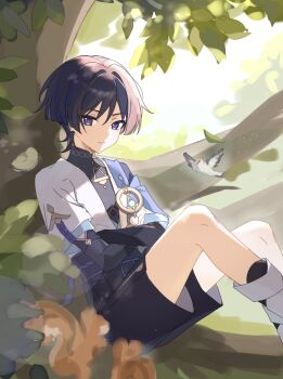 1boy absurdres against_tree bird bishounen black_shorts blurry bokeh crossed_arms dappled_sunlight day depth_of_field falling_leaves feet_out_of_frame foliage genshin_impact highres in_tree knees_up leaf leaning_back light_particles looking_at_viewer male_focus no_headwear on_branch outdoors parted_lips scaramouche_(genshin_impact) shorts sitting sitting_in_tree sitting_on_branch sketch_background solo squirrel sunlight tree unfinished wanderer_(genshin_impact) yequan844