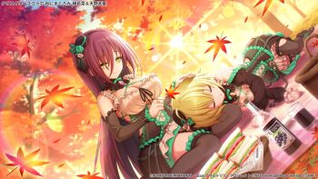 2girls amano_soraha ankle_garter assault_lily autumn autumn_leaves bare_shoulders black_collar black_dress black_hat black_ribbon black_shoes black_thighhighs blonde_hair blurry blurry_background bottle breasts cleavage closed_eyes closed_mouth clothing_cutout collar commentary_request copyright_notice cross-laced_clothes cross-laced_cutout cup detached_sleeves dress drinking_glass dutch_angle evening flower food frilled_collar frilled_dress frilled_sleeves frilled_thighhighs frills grape_juice green_eyes green_flower green_ribbon green_rose hair_between_eyes hair_ribbon hand_on_another&#039;s_head hands_up hat hat_flower juice lap_pillow large_breasts leaf long_bangs long_hair long_sleeves looking_at_another looking_down lying maki_wakana maple_leaf medium_breasts mini_hat mini_top_hat multiple_girls navel neck_ribbon noro_assumed official_alternate_costume official_art on_ground on_side outdoors picnic picnic_blanket purple_hair ribbon rose sandwich shoes side_cutout sitting sleeping sleeping_on_person sleeveless sleeveless_dress smile stomach_cutout sunlight thighhighs tilted_headwear top_hat tree two-tone_dress very_long_hair white_dress white_ribbon yokozuwari