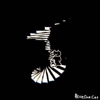 1other :3 animated animated_gif artist_name black_background cat dark everydayonecat holding holding_lantern lantern looping_animation monochrome no_humans original shadow simple_background solo spiral_staircase stairs walking