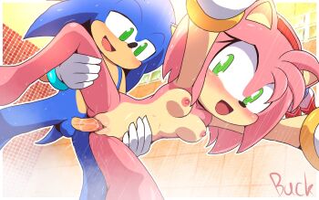 1girl amy_rose buckhori159 green_eyes nipples nude penis pussy sex sonic_(series) sonic_the_hedgehog