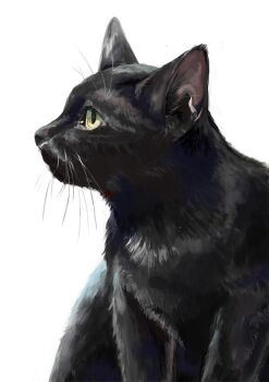 animal_focus black_cat black_eyes cat closed_mouth colored_sclera commentary green_eyes green_sclera looking_to_the_side lunica no_humans original profile simple_background white_background