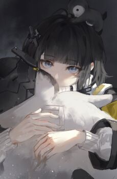 1girl absurdres animal animal_on_head arknights arknights:_endfield bird black_hair black_jacket blue_eyes commentary covered_mouth elyzerda endministrator_(arknights) english_commentary female_endministrator_(arknights) highres holding jacket light_particles long_sleeves looking_at_viewer on_head penguin short_hair solo sweater upper_body white_sweater