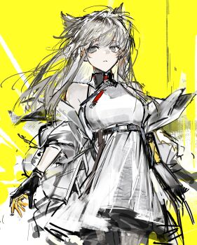 1girl absurdres animal_ears arknights arknights:_endfield bare_shoulders bird_ears bird_girl black_gloves black_pantyhose coat dress gloves grey_eyes grey_hair highres long_hair looking_at_viewer off_shoulder open_clothes open_coat pantyhose perlica_(arknights) remsrar simple_background sleeveless sleeveless_dress solo white_coat white_dress yellow_background