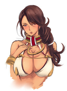Rule 34 | 1girl, branwen (queen's blade), breasts, highres, large breasts, long hair, queen's blade, solo